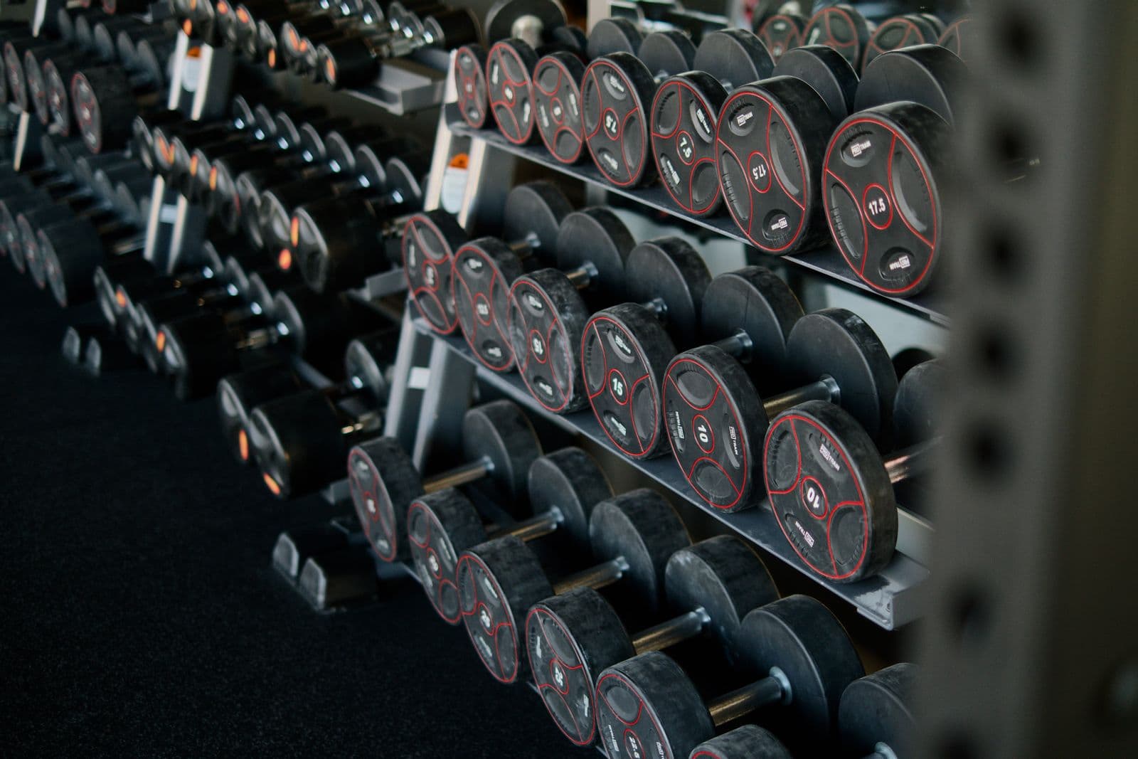 Rack of dumbbells in a fitness studio — the strength tools behind AMP SHRED online workouts you can do anywhere from Mesa, AZ.